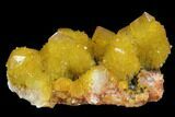 Sunshine Cactus Quartz Crystal - South Africa #96264-2